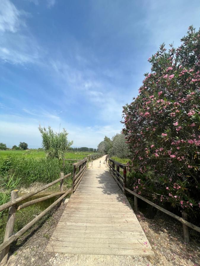 El Secreto Del Descanso Del Ebro Sant Jaume d'Enveja Dış mekan fotoğraf